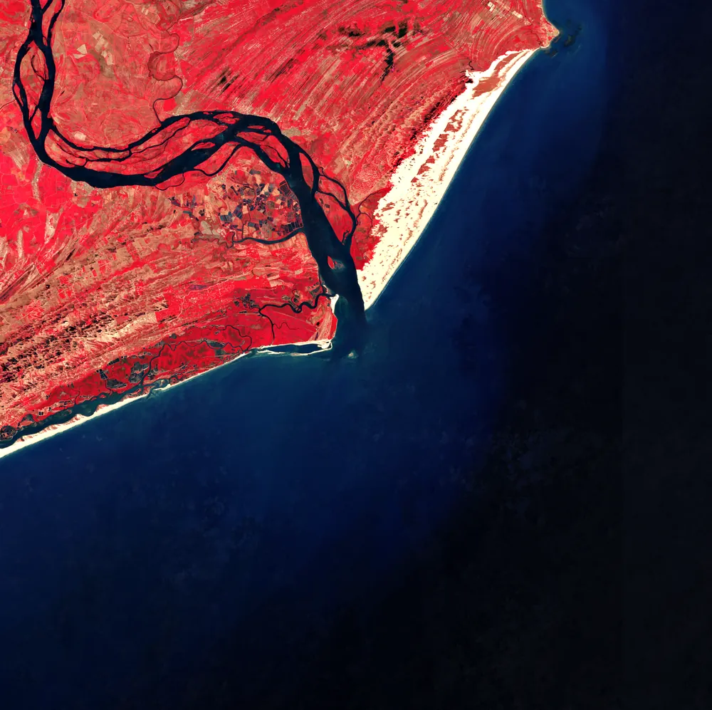 Composição Sentinel-2 em falsa cor infravermelha (bandas B8, B4 e B3) da foz do rio São Francisco: a vegetação aparece em vermelho, o rio desce escuro até o delta e o oceano ocupa metade da cena