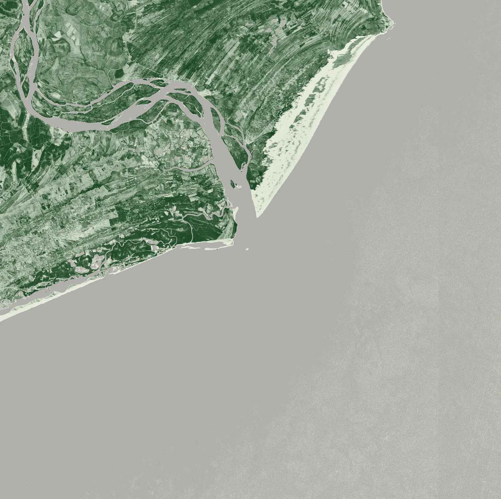 Camada NDVI da foz do São Francisco: matas e coqueirais em verde escuro, dunas e areias em verde muito claro, rio e oceano em cinza neutro