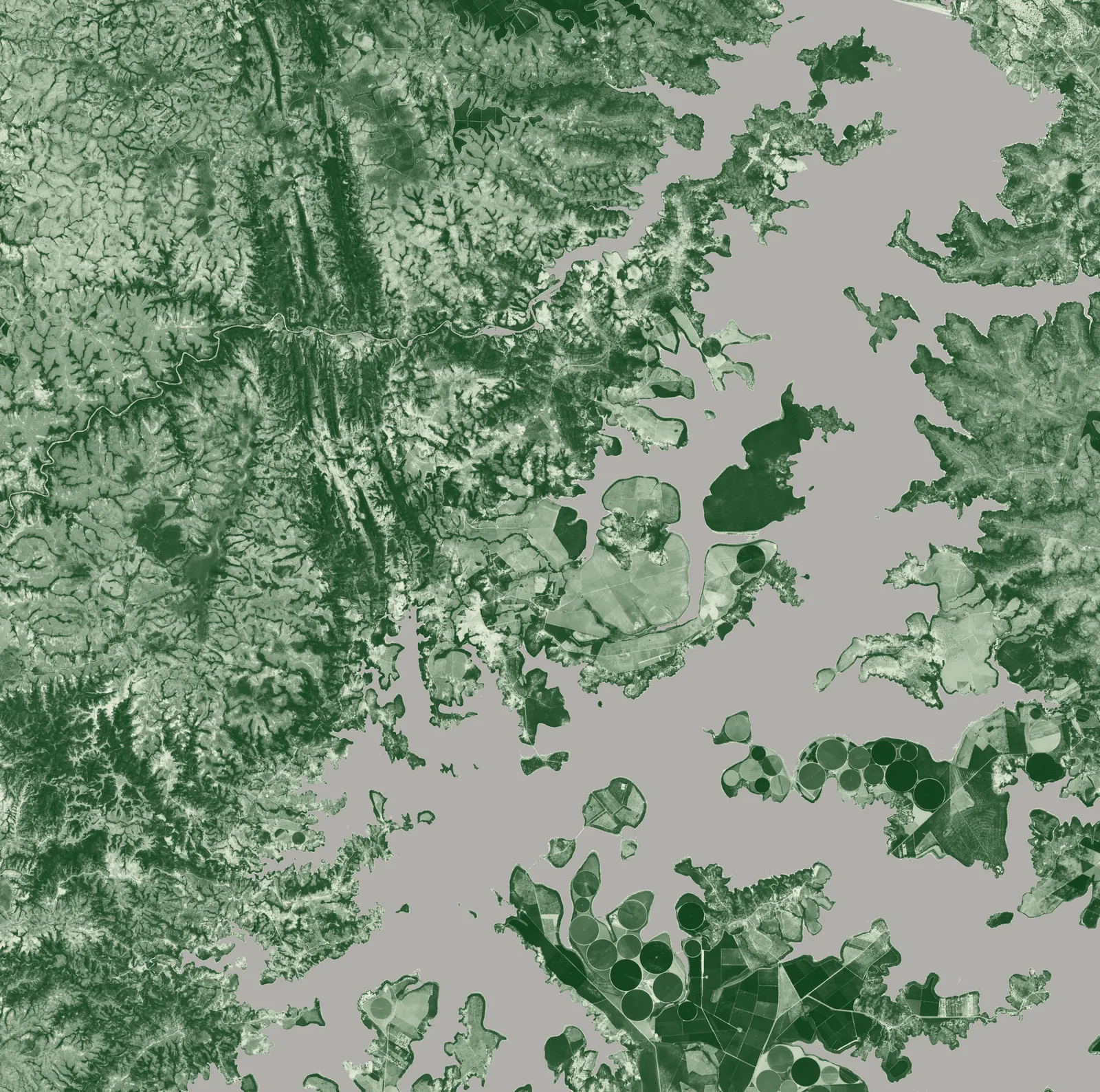 Camada NDVI de Três Marias: pivôs irrigados e matas ciliares em verde escuro, pastagens secas em verde claro, o reservatório em cinza neutro
